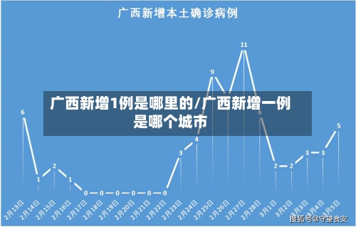 广西新增1例是哪里的/广西新增一例是哪个城市-第2张图片