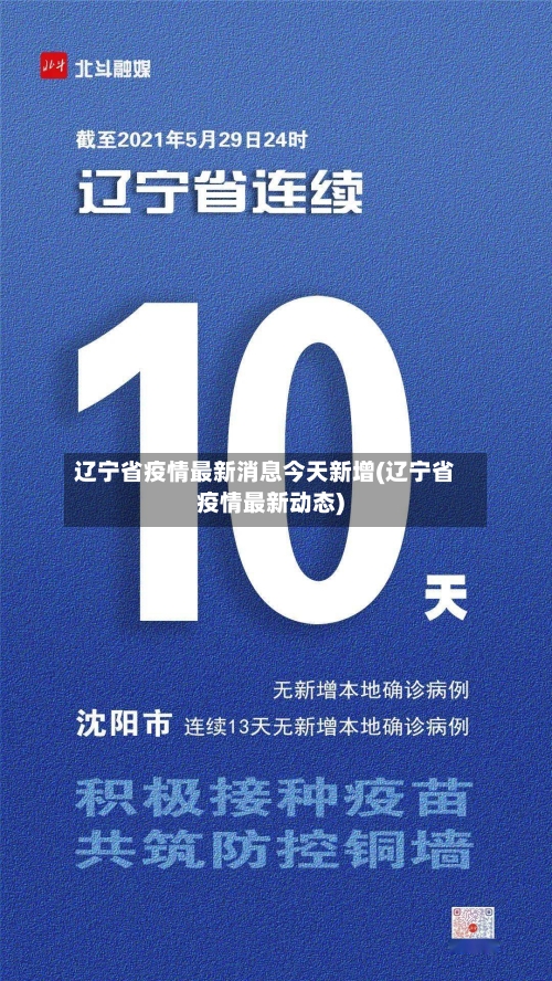 辽宁省疫情最新消息今天新增(辽宁省疫情最新动态)-第2张图片