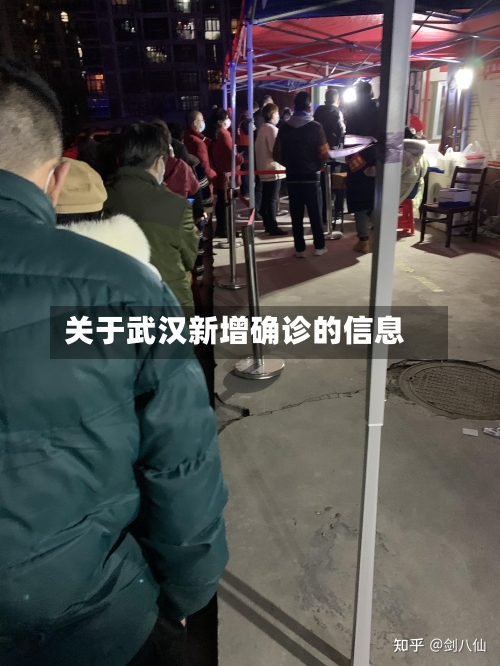 关于武汉新增确诊的信息-第3张图片