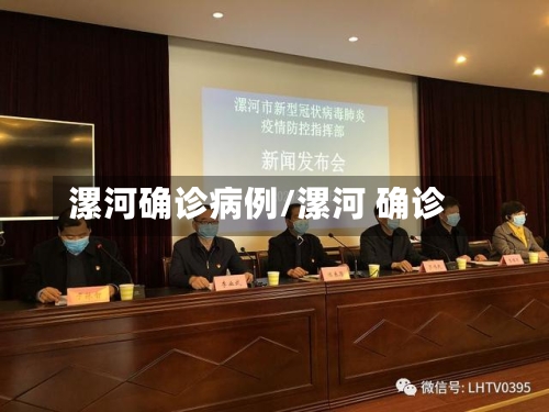 漯河确诊病例/漯河 确诊