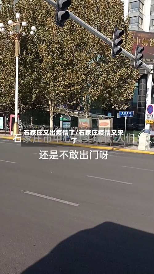 石家庄又出疫情了/石家庄疫情又来了-第2张图片