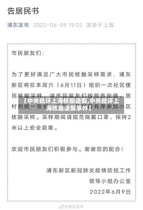 【中央批评上海核酸造假,中央批评上海核酸造假事件】-第2张图片
