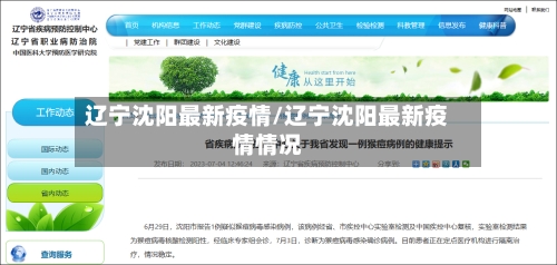 辽宁沈阳最新疫情/辽宁沈阳最新疫情情况-第3张图片