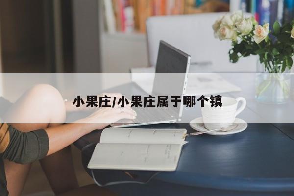 小果庄/小果庄属于哪个镇